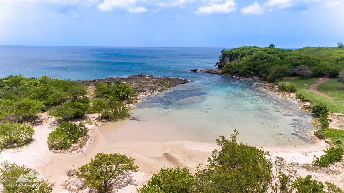 anse colas