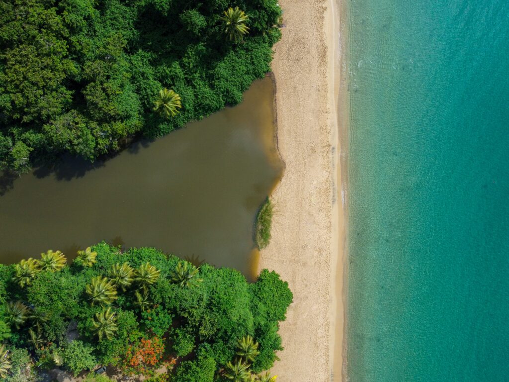 la mangrove et la mer qui se touchent presque sur la plage de grande anse a Deshaies, Guadeloupe. image vue depuis un drone