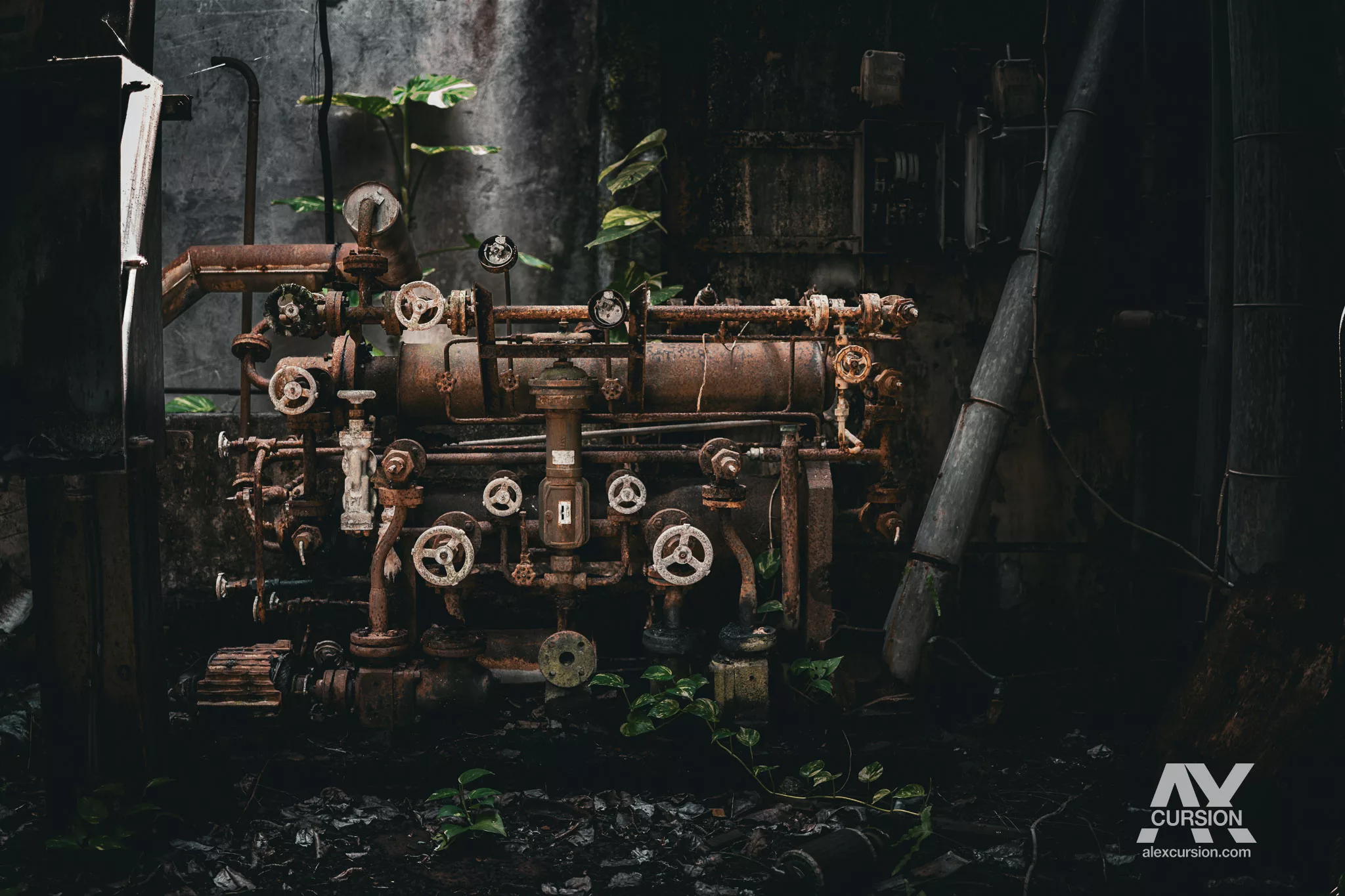 Énorme moteur thermique envahi par les racines et les plantes tropicales en urbex